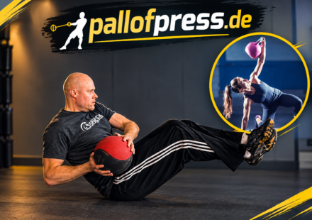 Pallof Press Alternative